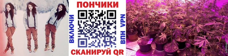 Магазин наркотиков Починок АМФЕТАМИН  Cocaine  СК  МАРИХУАНА  Меф мяу мяу  Гашиш 
